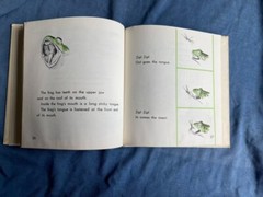 WHAT IS A FROG Gene Darby John Hawkinson 1957 WHAT IS IT SERIES 3rd Grade Level