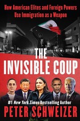 The Invisible Coup : How American Elites and Foreign Powers Use I