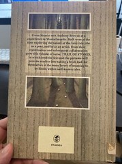 TRAIL OF STONES By Gwen Strauss & Anthony Browne Very Good 1980