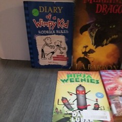 Lot of 10 Mixed Random Children’s Books and Young Adult Novels, Classic Stories