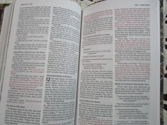 NIV 2011 Thinline Bible *Lost Camo Edition Red Letter* Imit Leather* 9.4pt