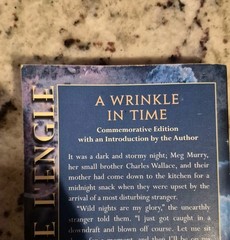 A Wrinkle in Time Paperback by Madeleine L 'Engle