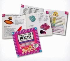 Dig into Rocks A Guide for Collectors 36 Pages Rocky the Rockhound is Your Guide