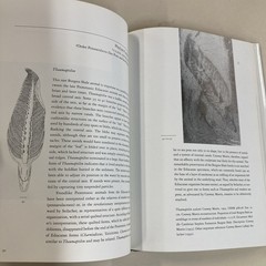 Fossils of the Burgess Shale HC DJ Collier, Erwin & Briggs 1994 Smithsonian Good