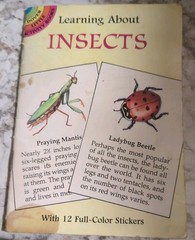 Learning about Insects by Jan Sovak (1997, Trade Paperback)
