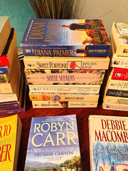 Lot of 10 Modern/Classic Popular Best Seller Romance Novel Paperback RANDOM PICK