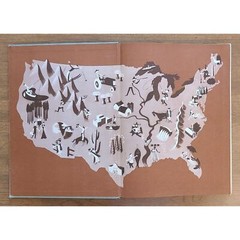 Look At America, The Country You Know – And Don’t Know 341 Pages