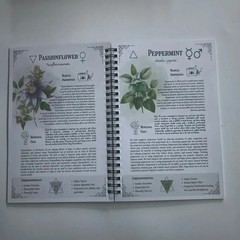 The Amish Natural Family Herbs Handbook The Characteristics And Effects