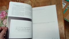 The Daily Grace Co. Devotional Bible study Lot: Ruth, Esther, Women of the Bible