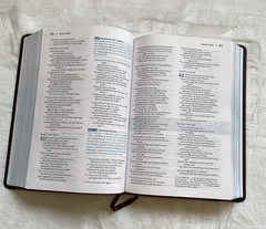 NIV Student Bible Leathersoft Cover Lay Flat Maps Yancey Stafford Reading Plans