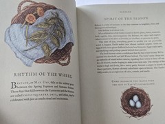 The Wheel of the Year An Illustrated Guide to Nature’s Rhythms Hardcover VGC