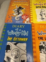 Diary of a Wimpy Kid Book Lot 19 Books Jeff Kinney Mixed HC PB VG
