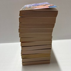 12 Vintage Harlequin Romance Novels 1980s & 1990s – Paper Back – Born in the USA