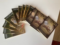 TIGER RISING~Kate DiCamillo~GUIDED READING LOT 12~Class Set~FLORIDA WOODS~Grief~