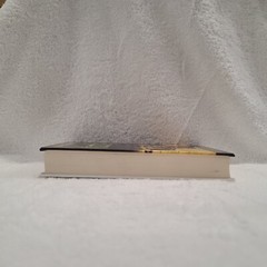 1929 : A Novel of the Jazz Age *** Large Print*** Hardcover Frederick Turner