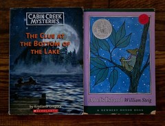 4th 5th Grade 21 Chapter Books Teacher Classroom Library Set Homeschool FB586