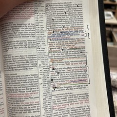 ✝️ Pitt Minion Reference Bible NKJV Calf Skin Leather / Fine Binding – Cambridge