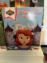 Disney Sofia The First Me Reader Complete Set 8 Books & Electronic Reader EUC!!