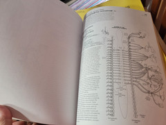 THE ANATOMY COLORING BOOK Kapit Medical Medicine Nurse Nursing Reference