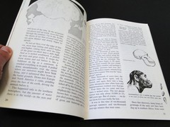 Vintage 1981 The How and Why Wonder Book of Primitive Man by Donald Barr