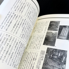 The Complete Manual Of Suicide Japanese Practical Book Kanzen Jisatsu Manual