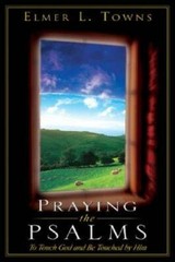 Praying the Psalms (Praying the Scriptures (Destiny Images)) – Paperback – GOOD