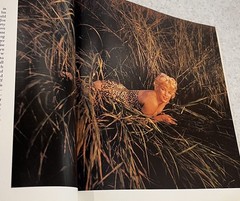 MARILYN A Biography By Norman Mailer 1973 HB Vtg Book~GREAT PHOTOS 2nd Printing