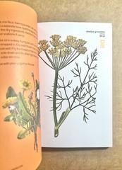 Herbal Handbook : 51 Profiles in Words and Art