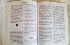 BAD GIRLS DO IT! AN ENCYCLOPEDIA OF FEMALE MURDERERS MICHAEL NEWTON JIM STERANKO
