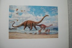 NEW – Dinotopia by James Gurney – CHINESE LANGUAGE Edition 1992 Hardcover