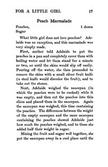 1920 A Little Preserving Book For A Little Girl 200 Pages