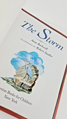 The Storm by Anne Rockwell Book for Children 11 x 9 Illustrated 1994 Paperback