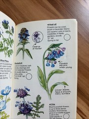 Wild Flowers: Of North America (Spotters Guide) 1979 First American Edition