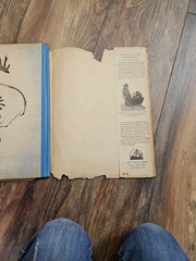 1935: First Edition Children Of The Northern Lights by Ingri & Edgar Parin