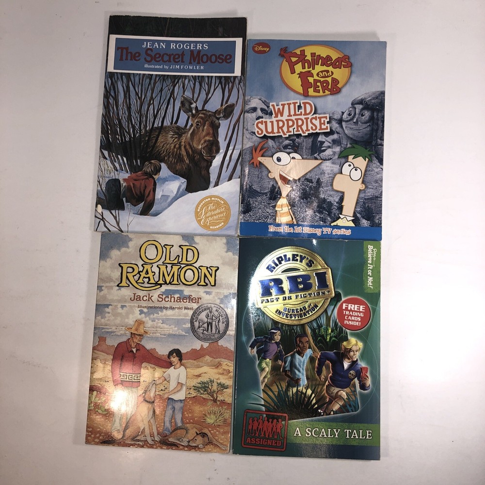 Childrens Chapter Books Lot of 4 Bundle Ages 6-10 Kids Reading Homeschool