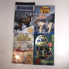 Childrens Chapter Books Lot of 4 Bundle Ages 6-10 Kids Reading Homeschool