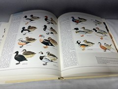 The Great Book Of Birds – 280 pages, 1,000 full color illustrations Ornithology