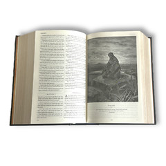 THE HOLY BIBLE King James Version KJV Deluxe Illustrated Bounded Leather