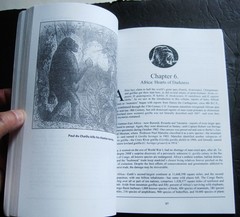 WHEN BIGFOOT ATTACKS, Michael Newton, paperback, 2000, rare, CFZ Press