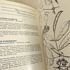 Lot 4 Books Wildflowers & Plants By Different Authors