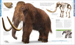 Dinosaurs and Prehistoric Life: the Definitive Visual Guide to Prehistoric Anima