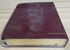 The Promise Holy Bible Study Edition 3595BG CEV Burgandy Bonded Leather New