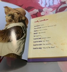 Story of the Country Bears by Disney Staff (2002, Trade Paperback) 1st Print