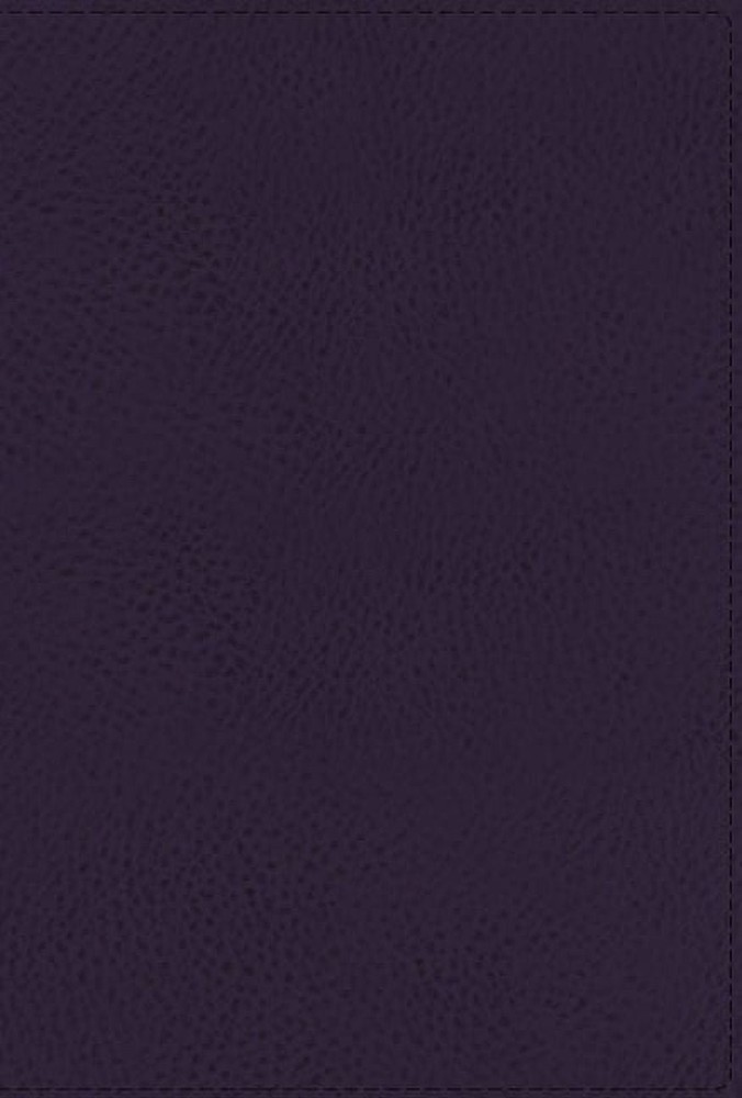 Niv, Thompson Chain-Reference Bible, Leathersoft, Navy, Thumb Indexed, Red…
