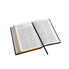 Luxury KJV Bible – Giant Print, Red Letter Edition, Decorative Leather Cover