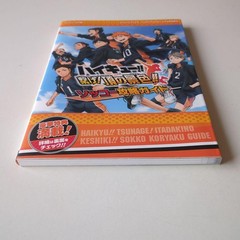Haikyu!! Connect The View from the Top Quick Strategy Guide 2014 First Edition P