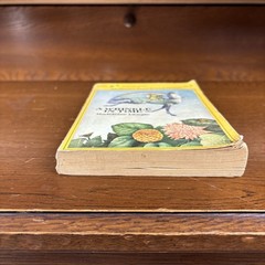 A Wrinkle in Time by Madeleine L’Engle 1975 Dell Yearling