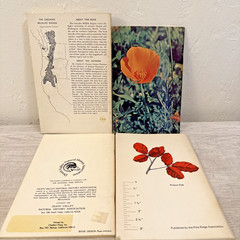 Lot 4 Books Wildflowers & Plants By Different Authors