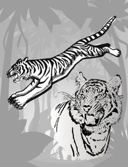 Coloring Book save the Tigers 108 Pages 8.5 x 11 for All Ages Best Tigers book