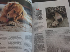 A Dog’s Life-Special Edition Magazine by Paw Print-How They Think, Feel & Thrive